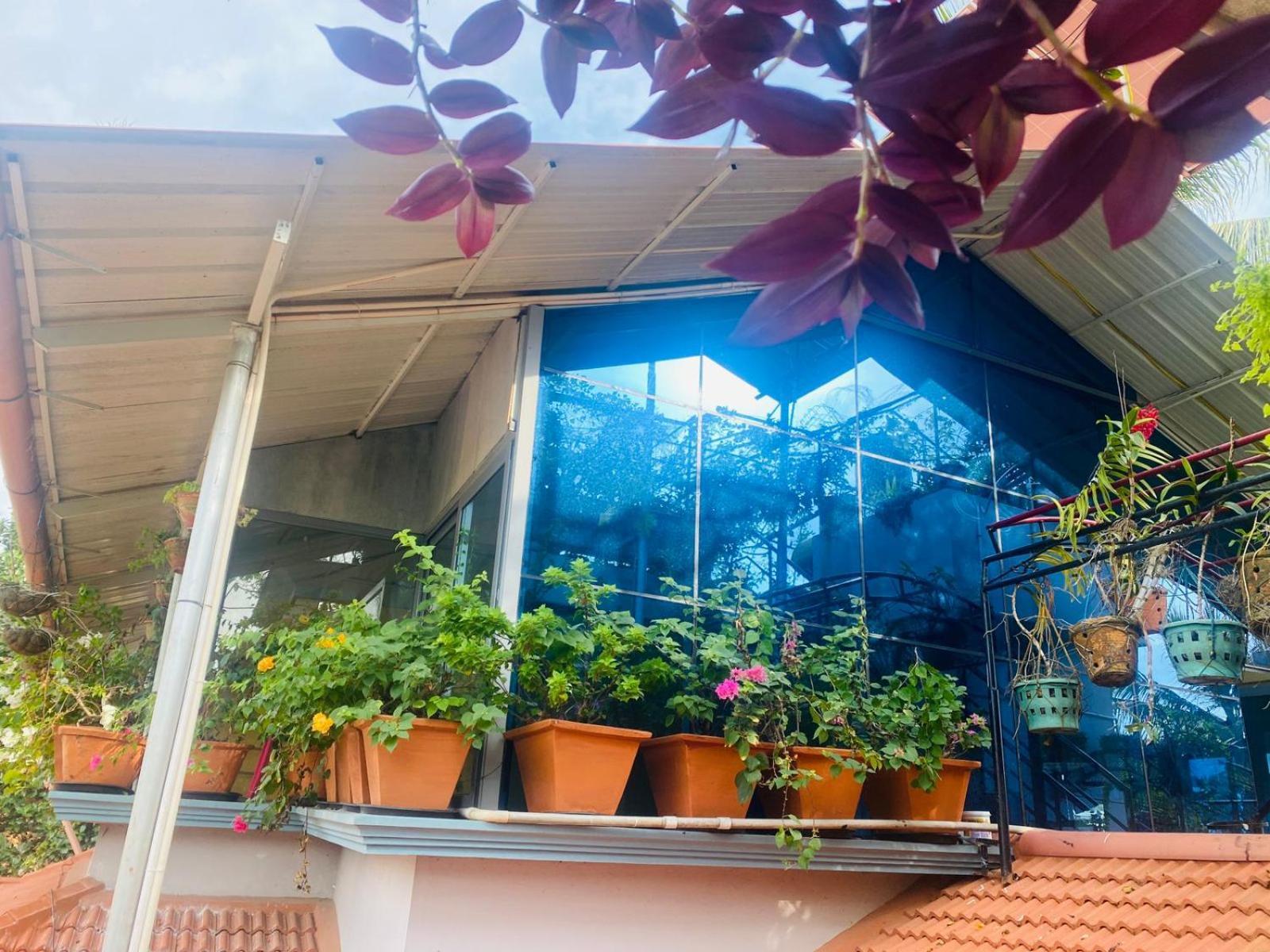 Homestay - Heaven Aumgarden